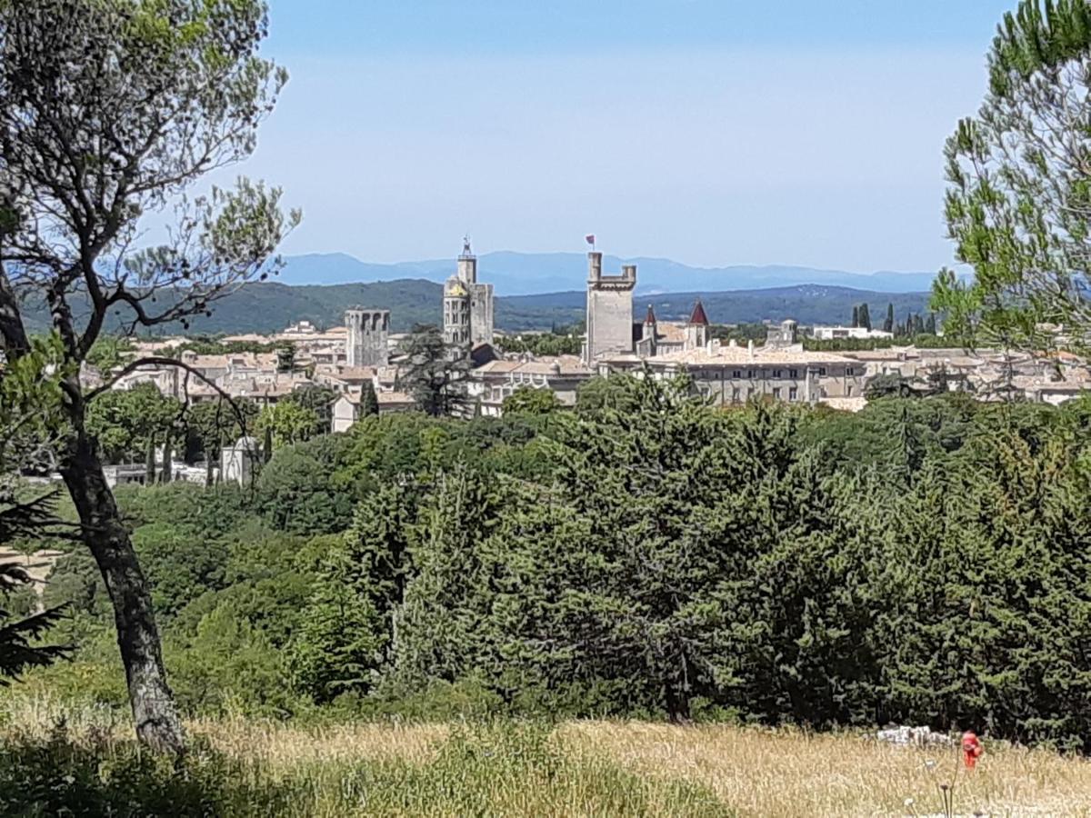 Le Mas De Tiomka Saint-Maximin  Exterior foto